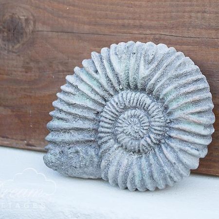 Ammonite Cottage Portland Extérieur photo