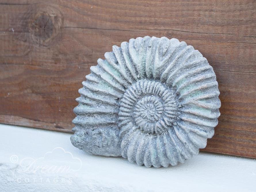 Ammonite Cottage Portland Extérieur photo